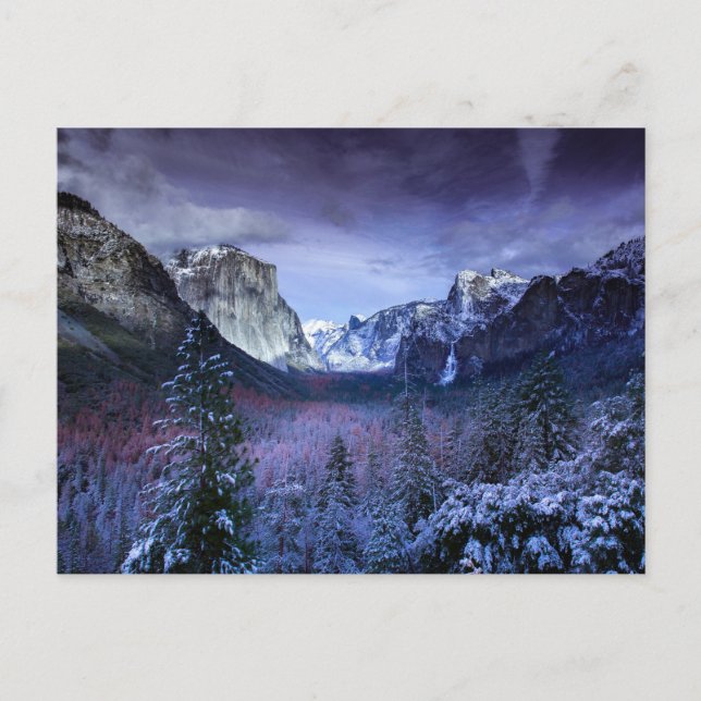 Carte Postale majesté des montagnes violettes (Devant)