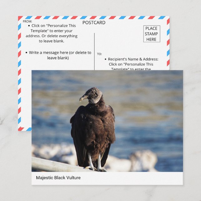 Carte postale Majestic Black Vulcain (Devant / Derrière)