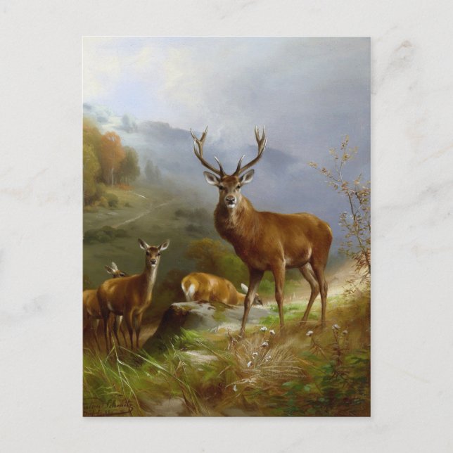 Carte Postale Majestic Deer ~ (Devant)