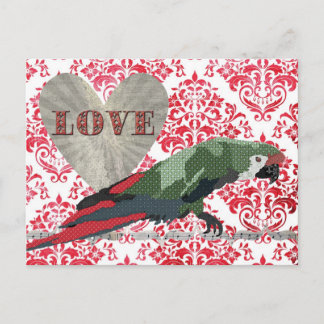 Carte postale Majestic Macaw Love Damask