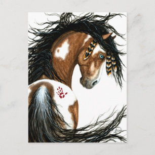 Carte Postale Majestic Pinto Paint Horse par Bihrle Post Card