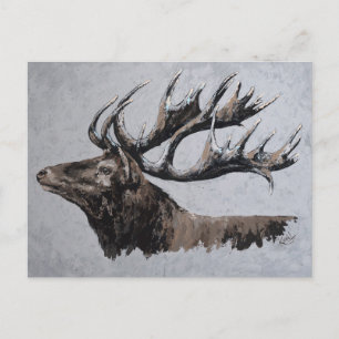 Carte Postale Majestic - stag