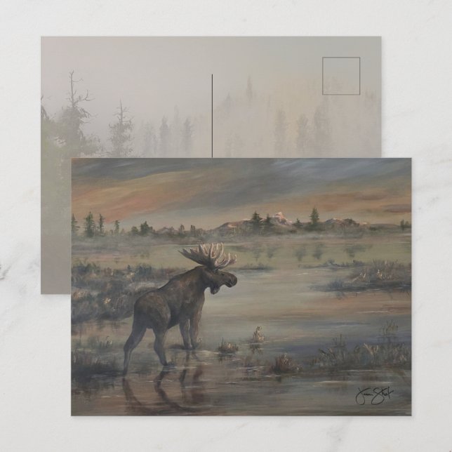 Carte Postale Majestueux orignal (Devant / Derrière)