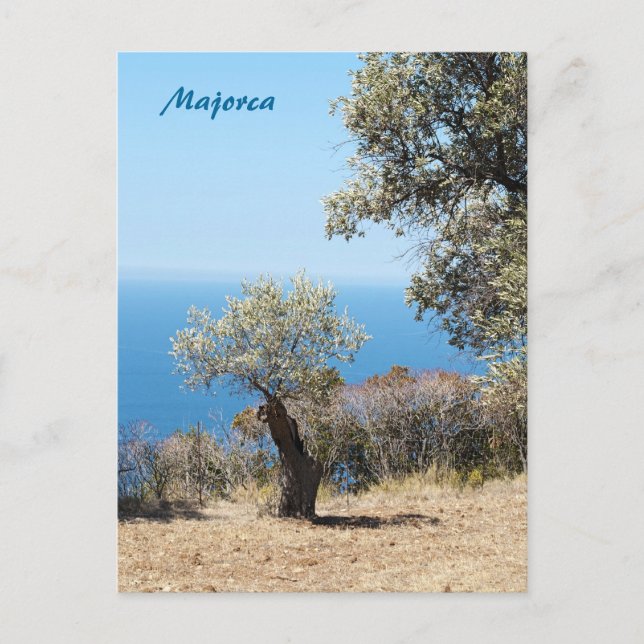 Carte Postale Majorque (Devant)