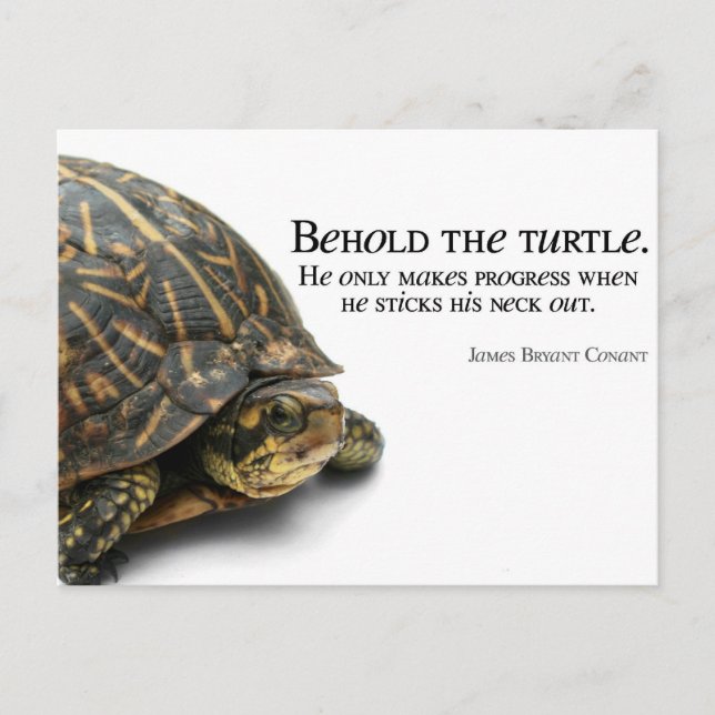 Carte Postale Makes Progress (Devant)