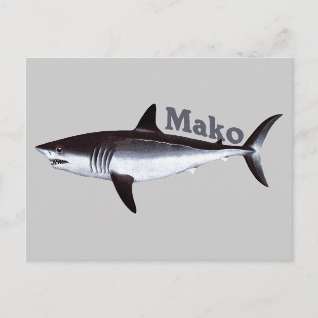 Carte postale Mako Shark (Devant)