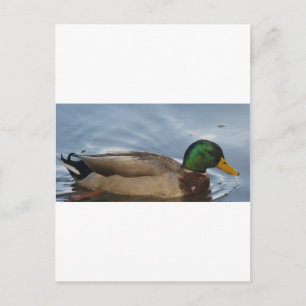 Carte Postale Mal III