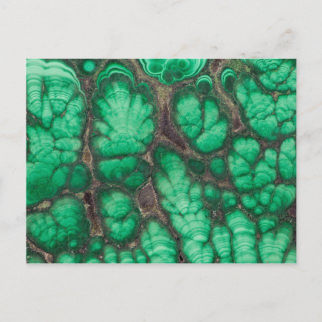 Carte Postale Malachite à motif vert (Devant)