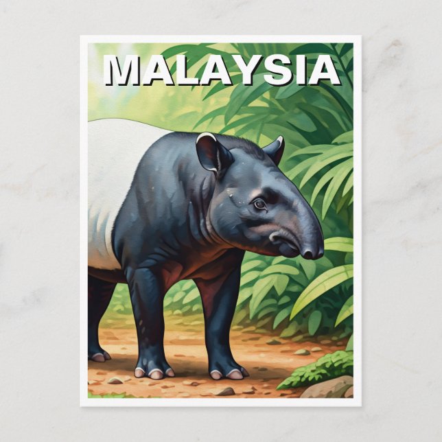 Carte Postale Malaisie Malayan Tapir (Devant)