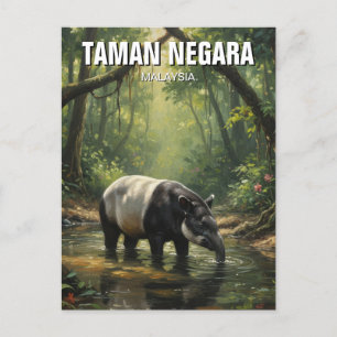 Carte Postale Malaisie Taman Negara Malayan Tapir