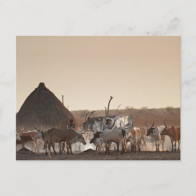 Carte Postale Malakal, village de l'ethnie Dinka (Devant)