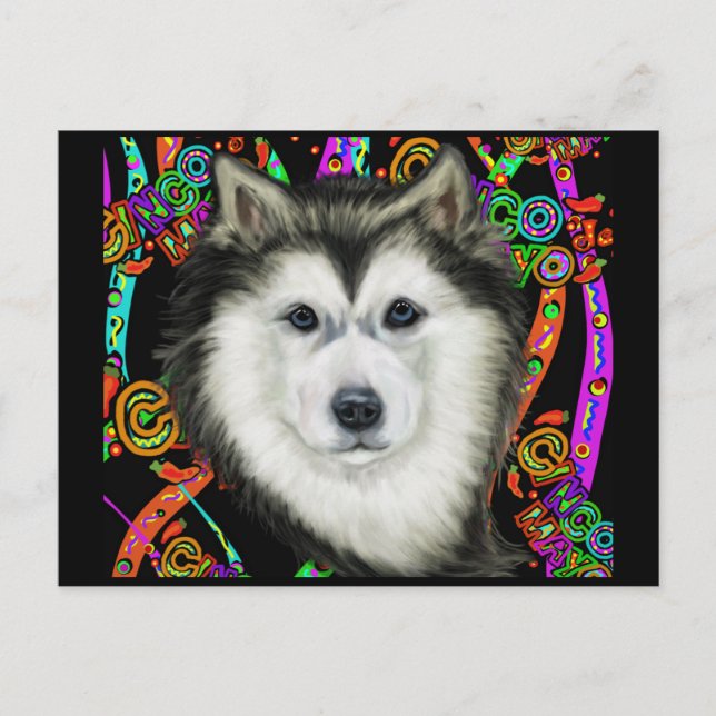 Carte Postale Malamute d'Alaska   (Devant)