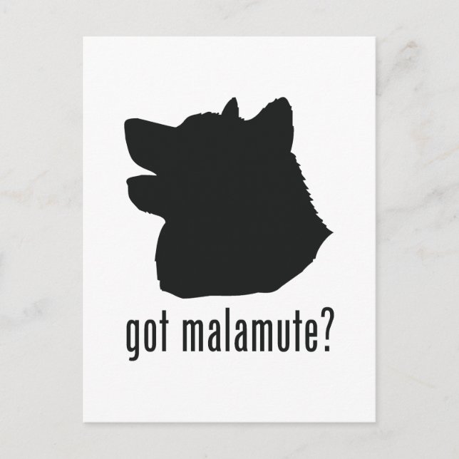 Carte Postale Malamute d'Alaska (Devant)