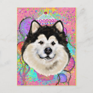 Carte Postale Malamute d'Alaska