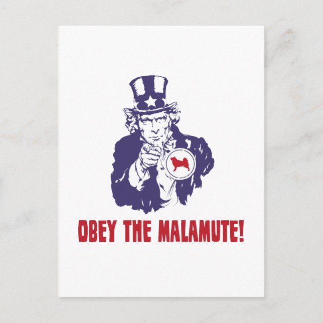 Carte Postale Malamute d'Alaska (Devant)