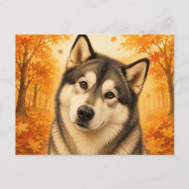 Carte Postale Malamute d'Alaska Forêt Automnale Chien (Devant)