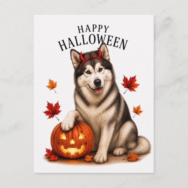 Carte Postale Malamute d'Alaska Halloween (Devant)
