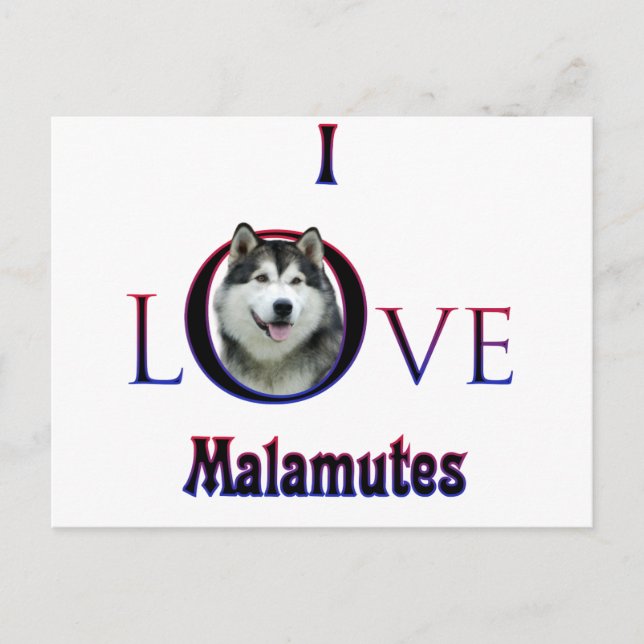Carte Postale Malamute d'Alaska I Love (Devant)