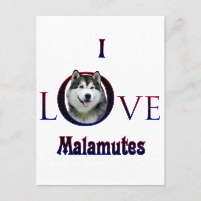 Carte Postale Malamute d'Alaska I Love (Devant)