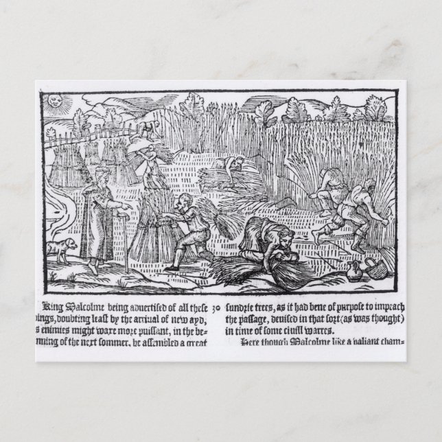 Carte Postale Malcolm, roi d'Écosse (Devant)