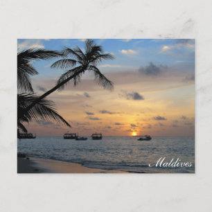 Carte Postale Maldives - île de Kandoludu au coucher du soleil c