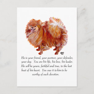 Carte Postale Mâle Pomeranian Keepsake