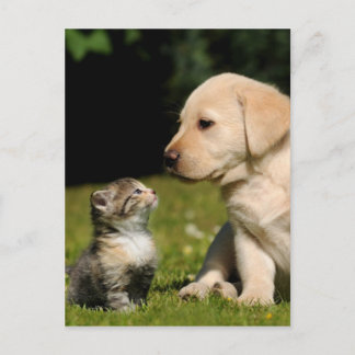 Carte Postale malice et malsain