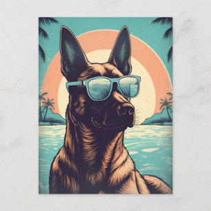Carte Postale Malinois belge à la plage tropicale au coucher du 