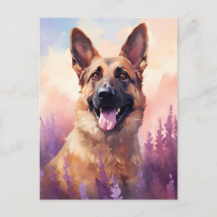 Carte Postale Malinois belge en Lavender champ