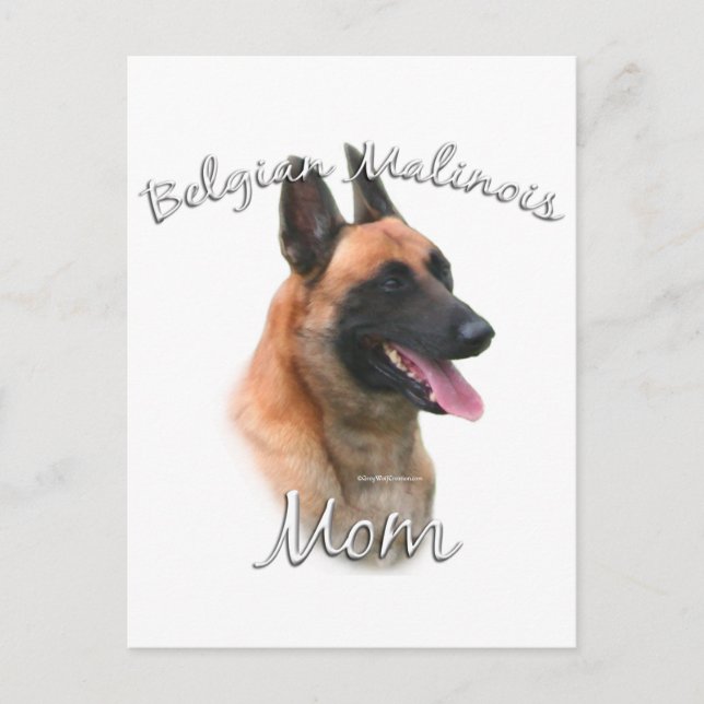 Carte Postale Malinois belge Maman 2 (Devant)