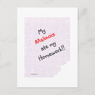 Carte Postale Malinois Belge Mange Mes devoirs