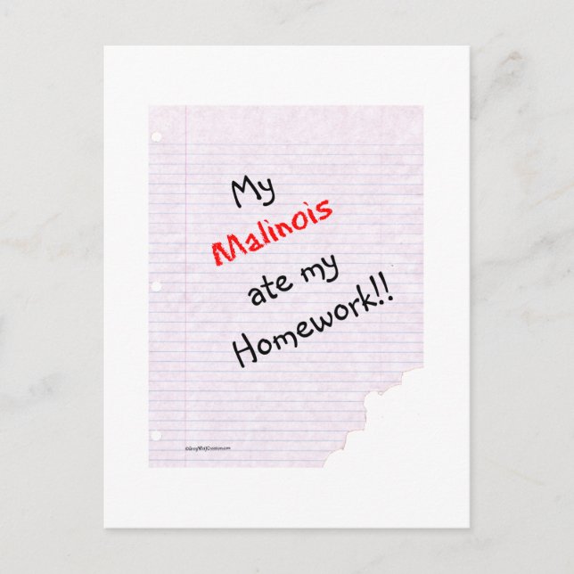 Carte Postale Malinois Belge Mange Mes devoirs (Devant)