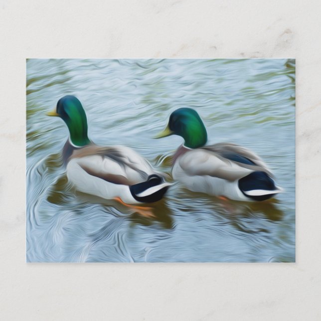 Carte Postale Mallard Ducks (Devant)