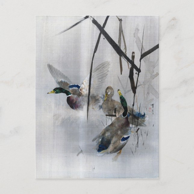 Carte Postale Mallards et roseaux, Watanabe Seitei (Devant)