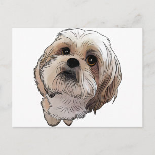 Carte Postale Malshi CMA-shi