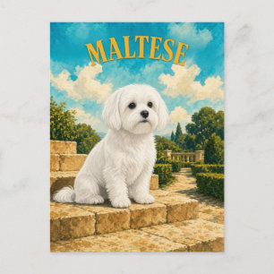 Carte Postale Maltais, Art de chien à l'aquarelle vintage