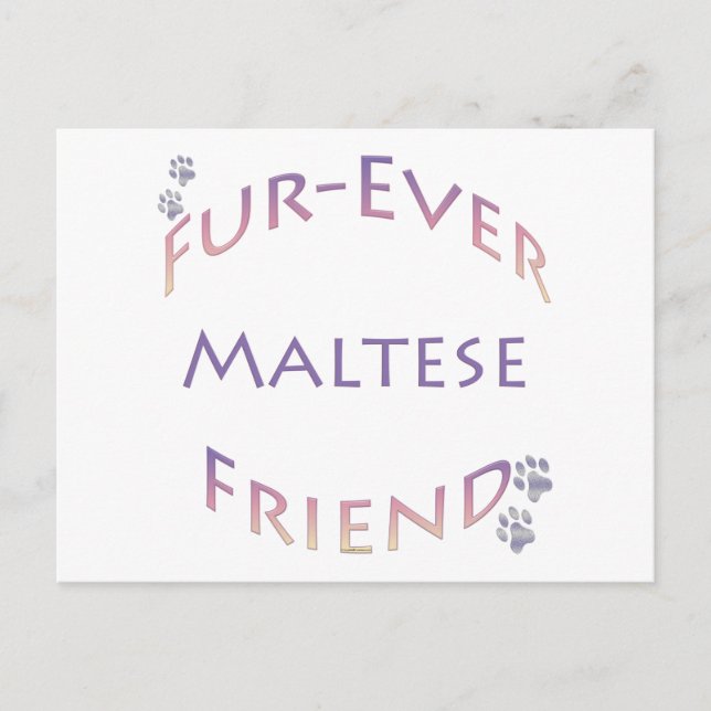 Carte Postale Maltais Furever (Devant)