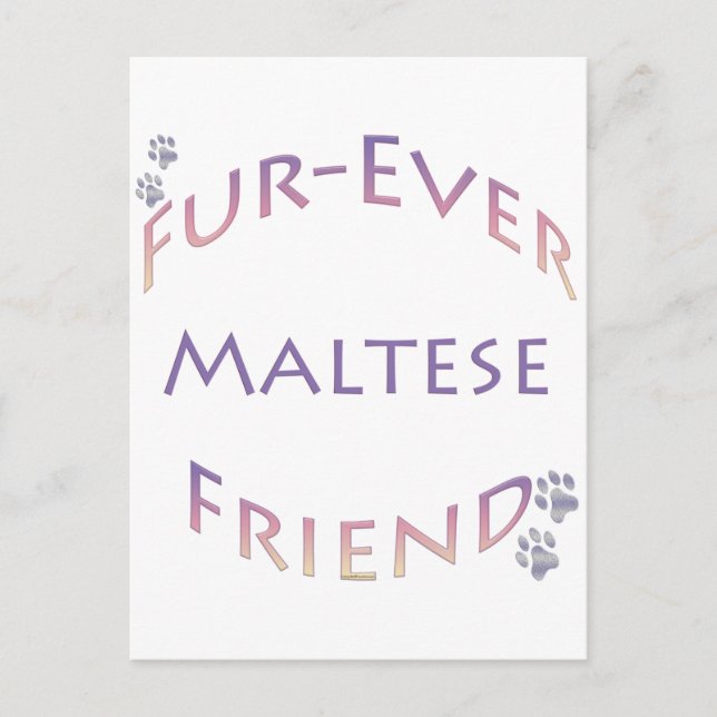 Carte Postale Maltais Furever (Devant)