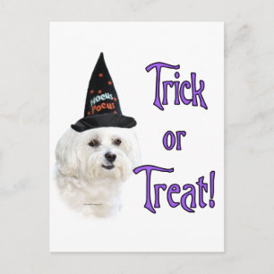 Carte Postale Maltese Trick