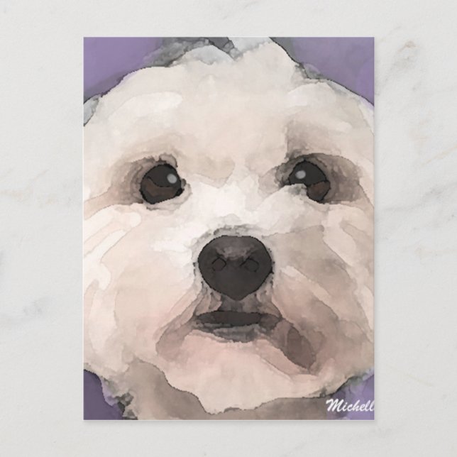 Carte Postale Maltipoo (Devant)