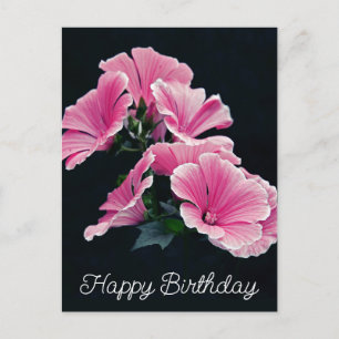Carte Postale Malva Fleur de Mauve Rose Élégante