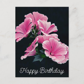 Carte Postale Malva Fleur de Mauve Rose Élégante