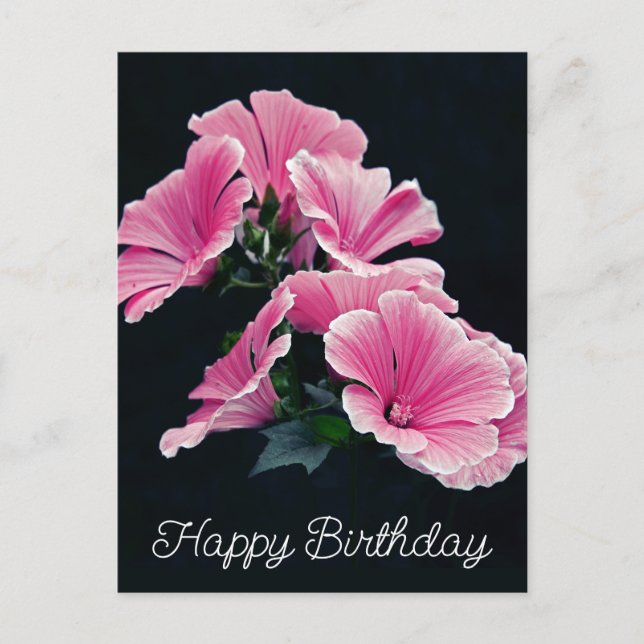 Carte Postale Malva Fleur de Mauve Rose Élégante (Devant)