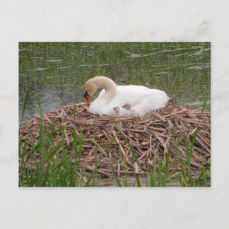 Carte postale Mama et Little Ones (2)