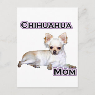 Carte Postale Maman Chihuahua 4