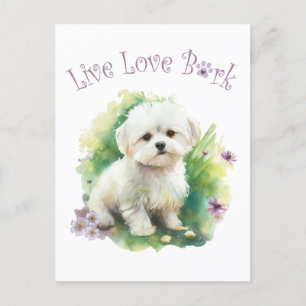 Carte Postale Maman de bichon floral