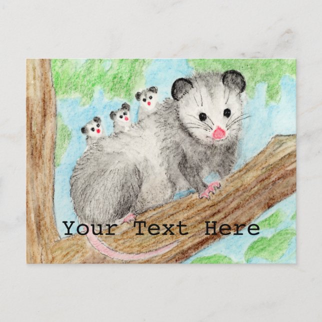 Carte Postale Maman d'Opossum (Devant)