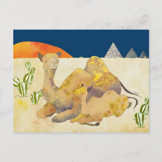 Carte Postale Maman et Baby Camels