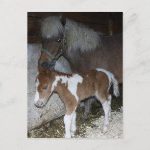 Carte Postale Maman et bébé