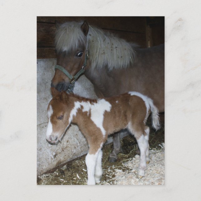 Carte Postale Maman et bébé (Devant)